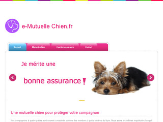 Détails : Le fonctionnement d'une mutuelle chien