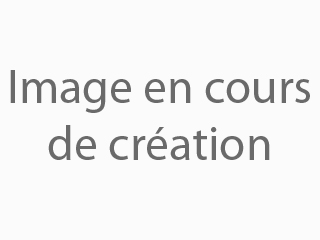 Détails : Pourquoi l’inscription à une assurance habitation est-il nécessaire ?